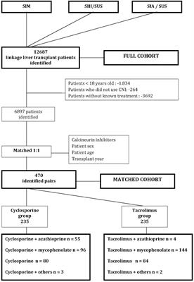 Sixteen-Year Cohort of Liver Transplantation in the National Health System in Brazil: Analysis of Immunosuppression Maintenance Therapies